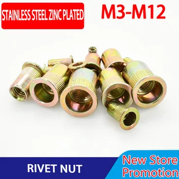 M3 M4 M5 M6 M8 M10 M12 Nerūdijančio plieno kniedės veržlė Cinku padengtas riešutų lydinys Rivnut plokščios galvutės sriegio flanšo įdėklo veržlės 50 / 100vnt